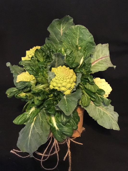 When In Romanesco