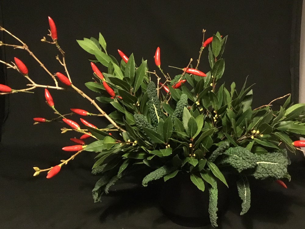 Red Hot Chilli Peppers