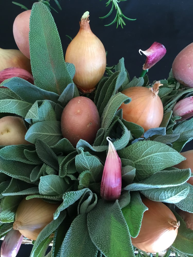 Good Things In Small Packages