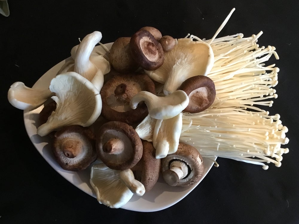 Fun Fungi